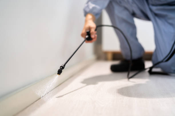 Licensed Pest Control service in Rio Grande, OH - Show Me Pest Control