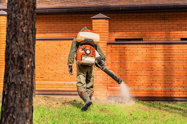 Top rated local Mosquito Control specialists in Rio Grande, OH